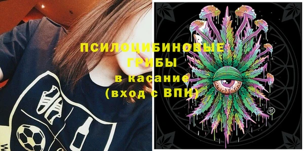 ГАЛЛЮЦИНОГЕННЫЕ ГРИБЫ Алзамай