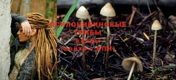 ГАЛЛЮЦИНОГЕННЫЕ ГРИБЫ Алзамай