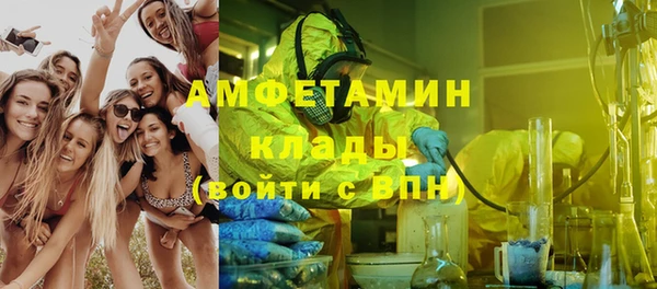 ГАЛЛЮЦИНОГЕННЫЕ ГРИБЫ Алзамай