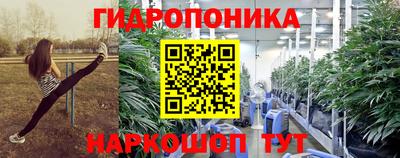 винт Донецк