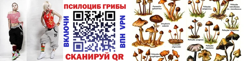 закладка  Камень-на-Оби  kraken вход  Галлюциногенные грибы ЛСД 