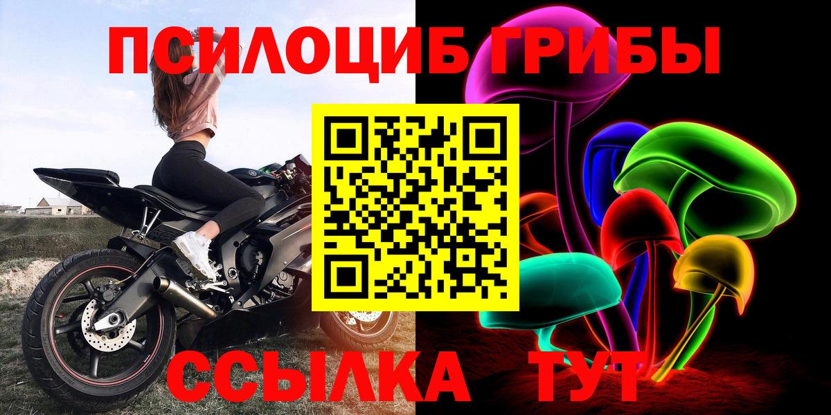 Камень-на-Оби  Псилоцибиновые грибы прущие грибы  Вход с VPN 