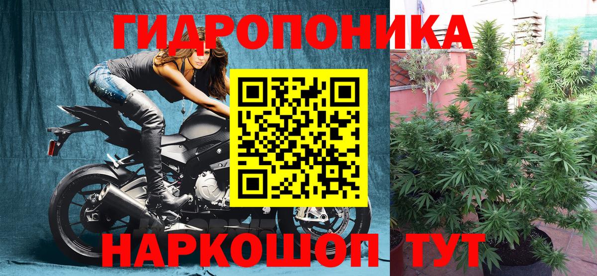 Бошки марихуана SATIVA & INDICA  Вход с VPN  МАРИХУАНА LSD WEED  Камень-на-Оби 